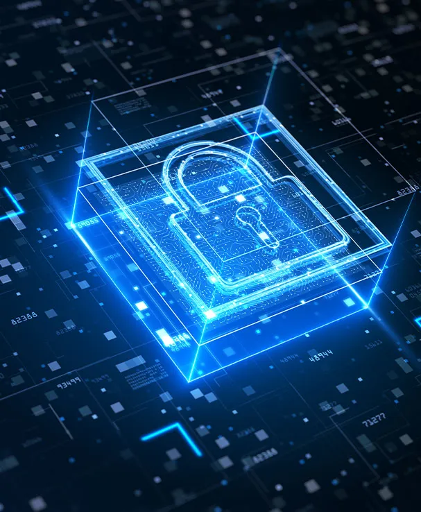 Data Governance Frameworks 